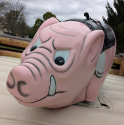 PXL 20240813 194957561 1723583899 6 Mechanical Pig