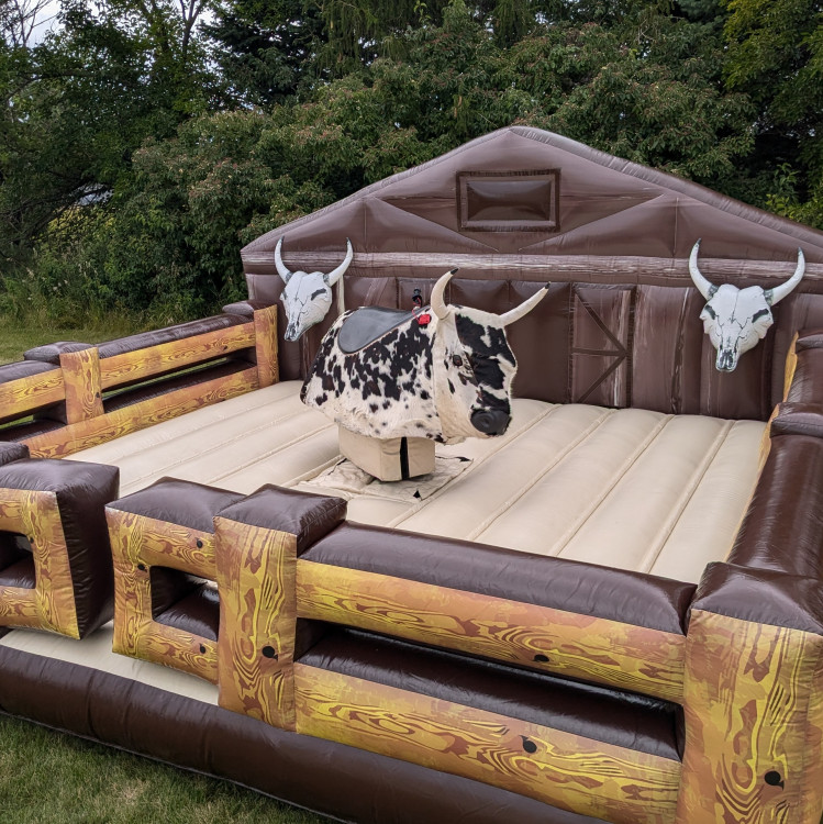 Mechanical Bull