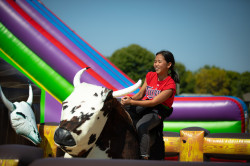 faithfesthj 1733947416 Mechanical Bull