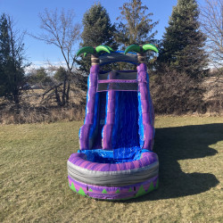 A177CC68 D3F3 4D2A 9D56 9CB366E08BDC 1759761599 Purple Crush