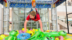 Image205 1769035492 Giant Human Claw