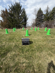 IMG 8147 1774549046 Coned Light System