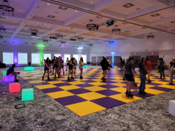 Portable Roller Rink